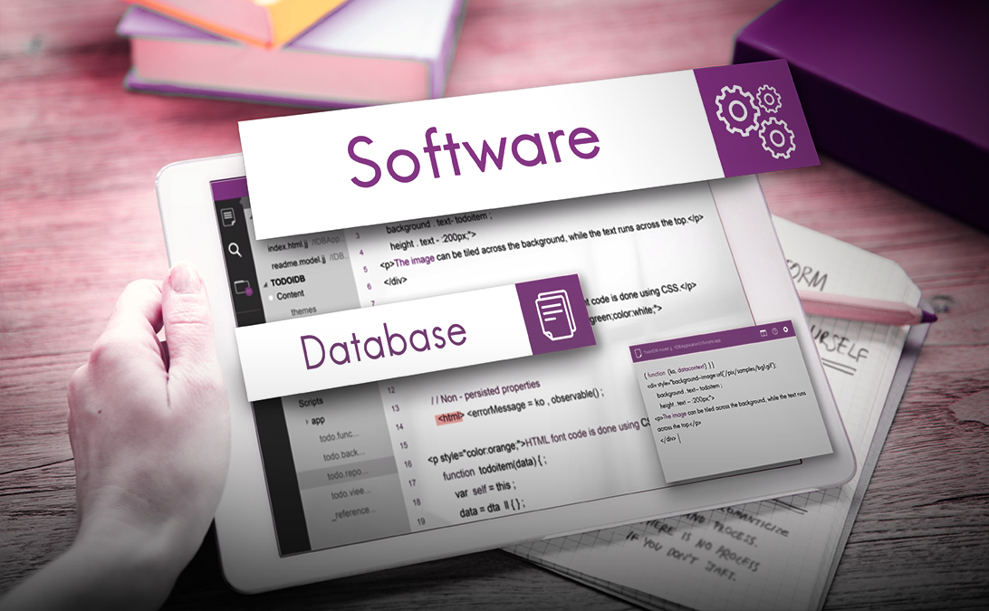 What is Web Application Software?